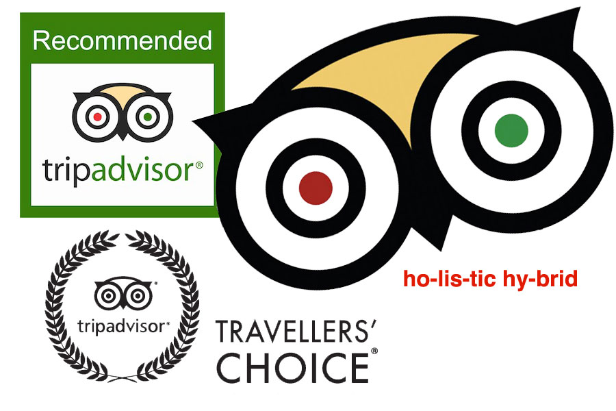 Tripadvisor Reviews On Coconut Bay Beach Resort And Spa Tripadvisor Reviews On Coconut Bay Beach Resort And Spa